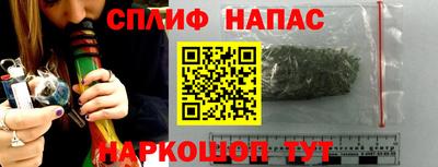 СК Апшеронск